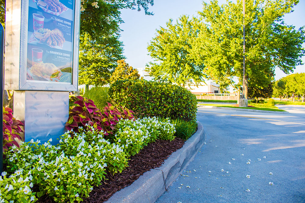 Landry's Landscape Portfolio